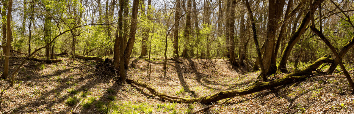 Espaces naturels sensibles