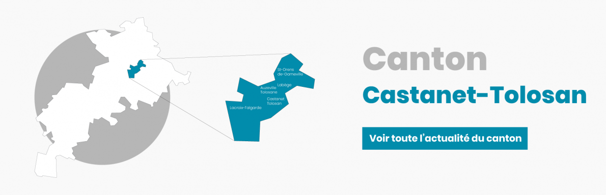 Canton Castanet-Tolosan