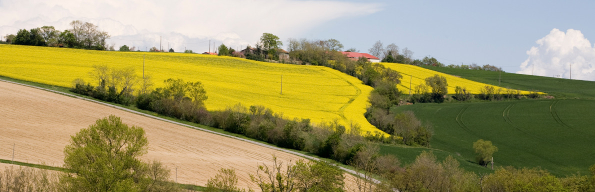 Bandeau #MaHauteGaronne