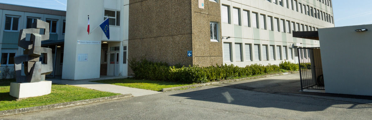 Bandeau SEGPA Colomiers