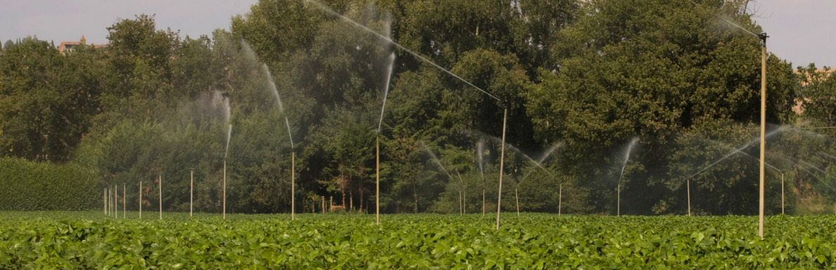 Irrigation en Haute-Garonne