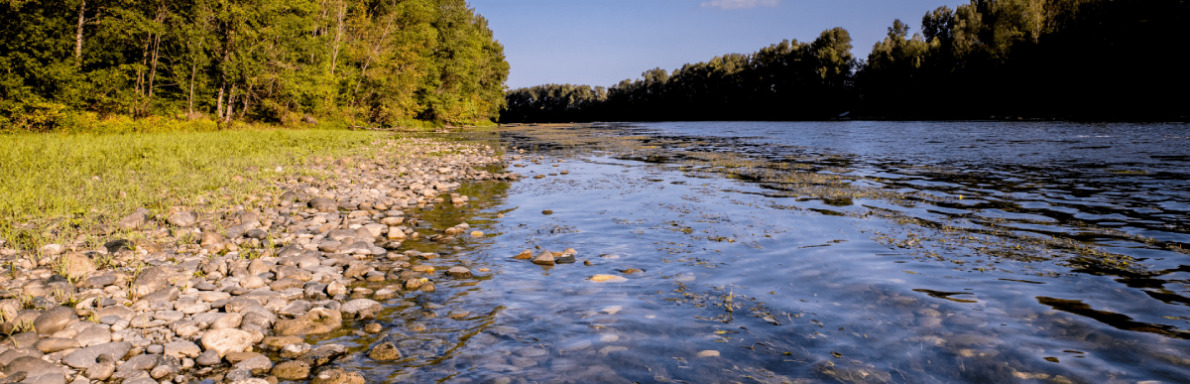 Garonne Amont