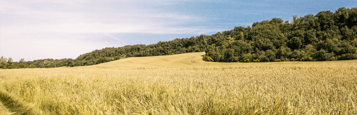 Haute-Garonne environnement