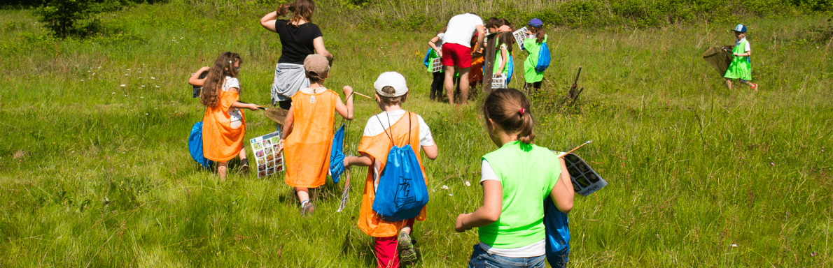 Activités forêt de Buzet