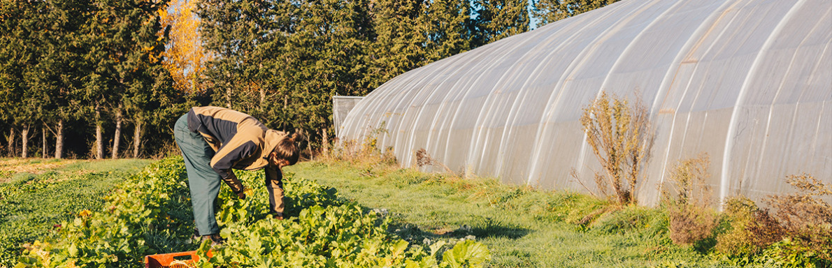 Agriculture en Haute-Garonne