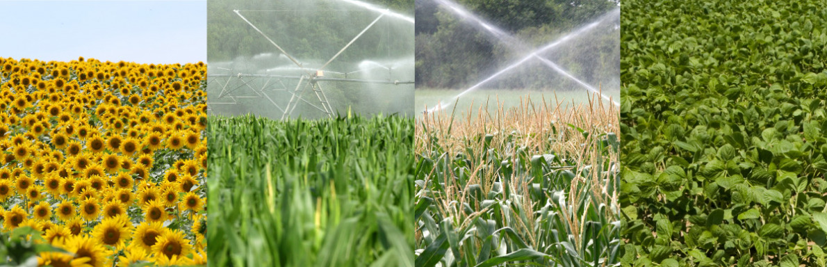 Irrigation en Haute-Garonne