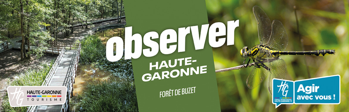 Forêt de Buzet