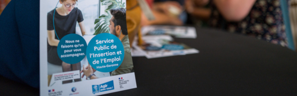 Service Public de l'Insertion et de l'Emploi