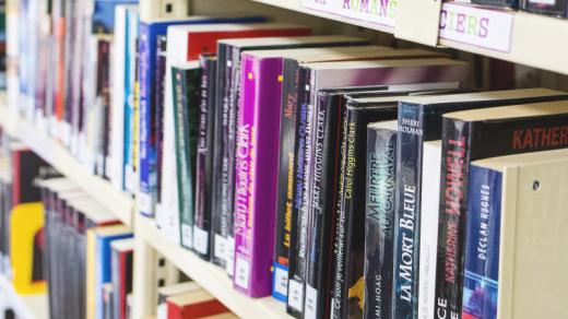 Synthèse plan de lecture Toulouse