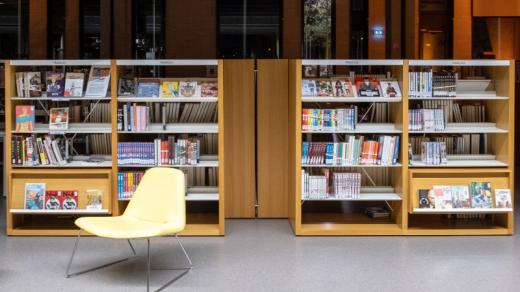 Synthèse du plan de lecture de Labège