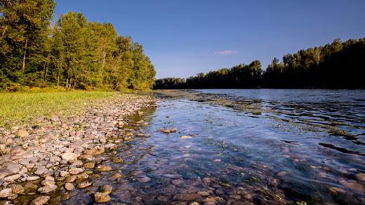 Image Garonne Amont