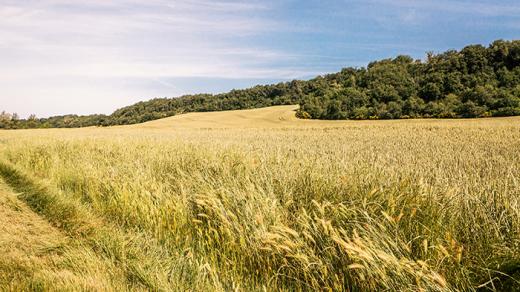 Haute-Garonne environnement