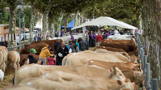 Journées agricoles du Volvestre 2017