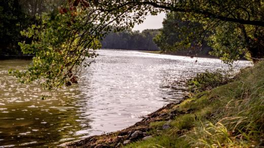 Au vu de la situation hydrologique, un arrêté préfectoral a été pris le 12 août 2020 pour imposer plusieurs restrictions.