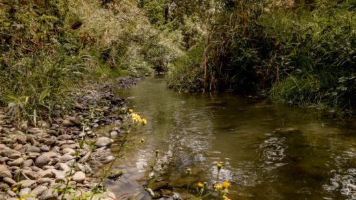 Zoom sur la situation hydrologique