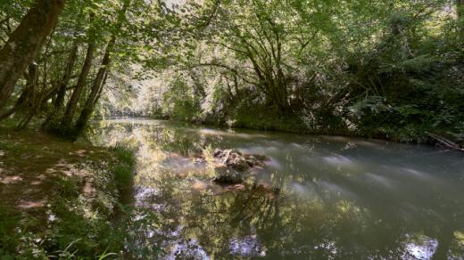 Gorges de la Save