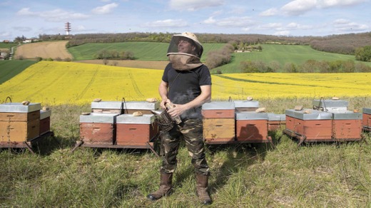 Olivier Ambrosino, apiculteur de Haute-Garonne