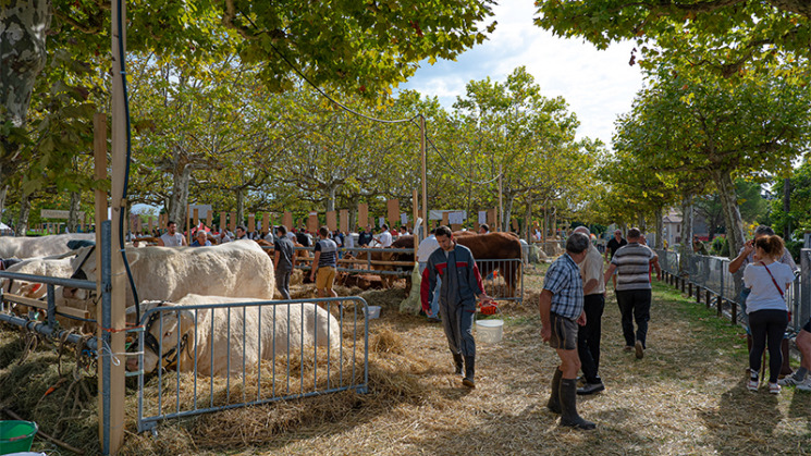 Journées du Boulonnais