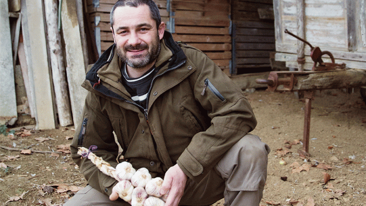 Portrait Sébastien Taupiac