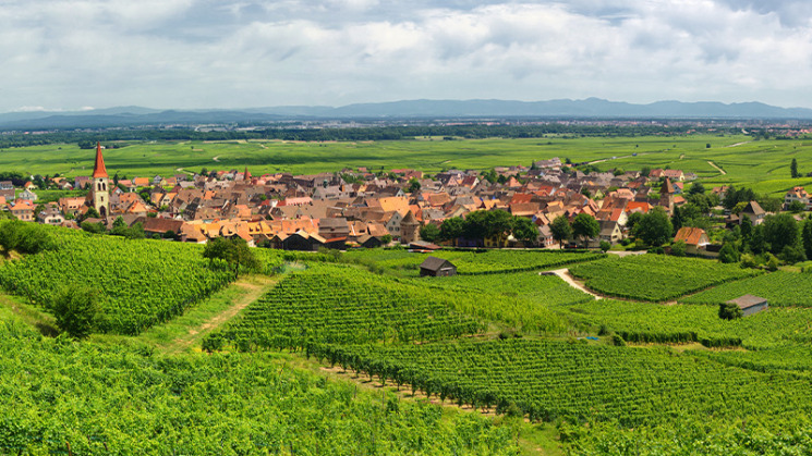 Carte d'identité Haute-Garonne