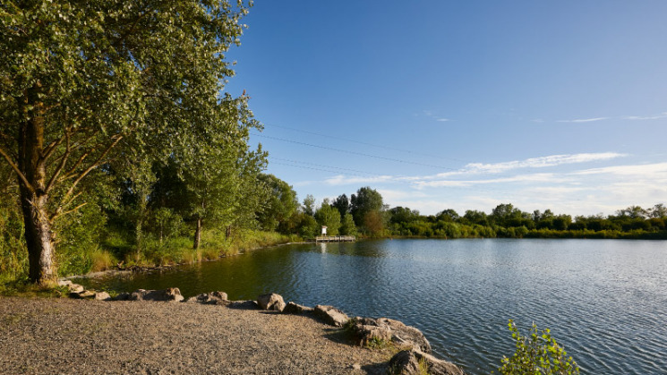 Lac de Frouzins