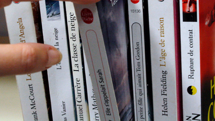 Synthèse plan de lecture Goutevernisse