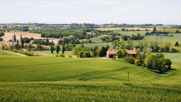 Aménagement foncier agricole et forestier