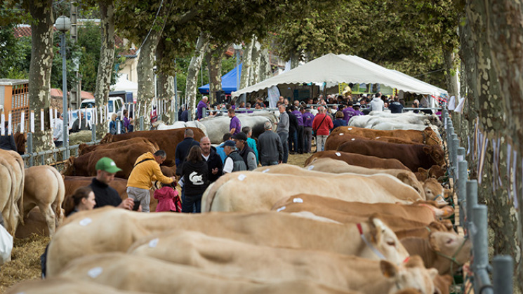 Journées agricoles du Volvestre 2017