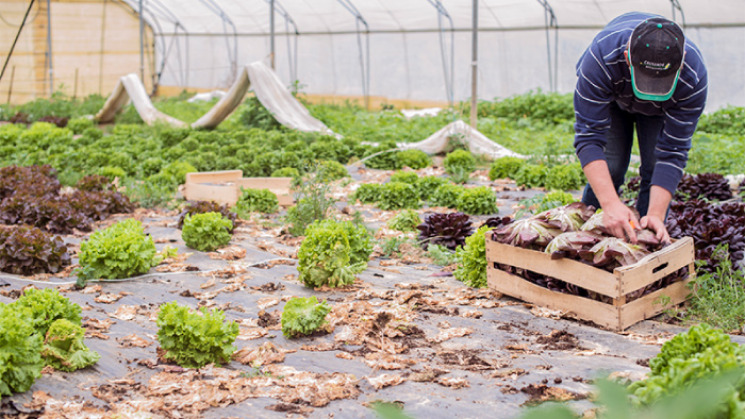 Valorisation des produits locaux