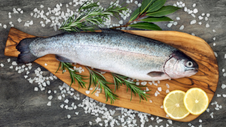 Pisciculture Oô