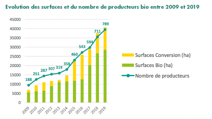 Évolution des surfaces et du nombre de producteurs bio et en conversion entre 2009 et 2019