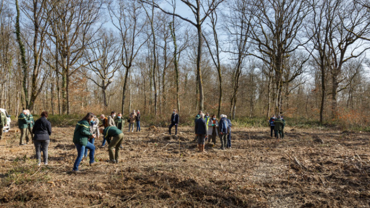 plantation d'arbres dans la forêt de Bouconne