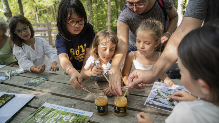 La Forêt de Buzet dans tous ses états 2019
