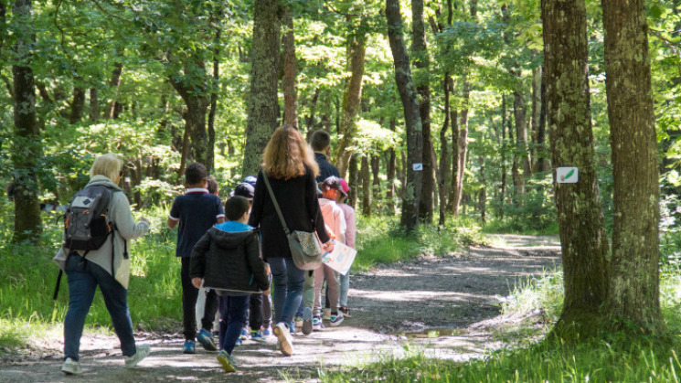 balade dans la forêt de Buzet