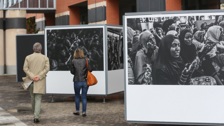 Expositions 14 juillet 2021 - 1