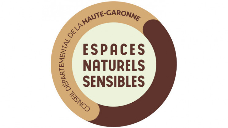 Logo ENS générique