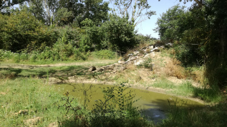 Forêt alluviale des quinzes sols
