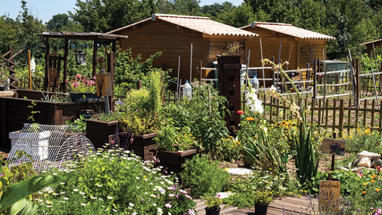 Jardins familiaux Tournefeuille