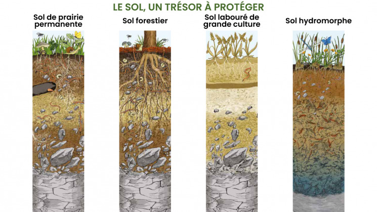 Aquarelles de différents types de sols