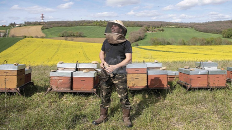 Olivier Ambrosino, apiculteur de Haute-Garonne