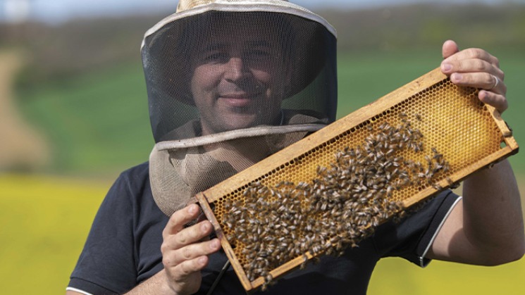 Olivier Ambrosino, apiculteur de Haute-Garonne