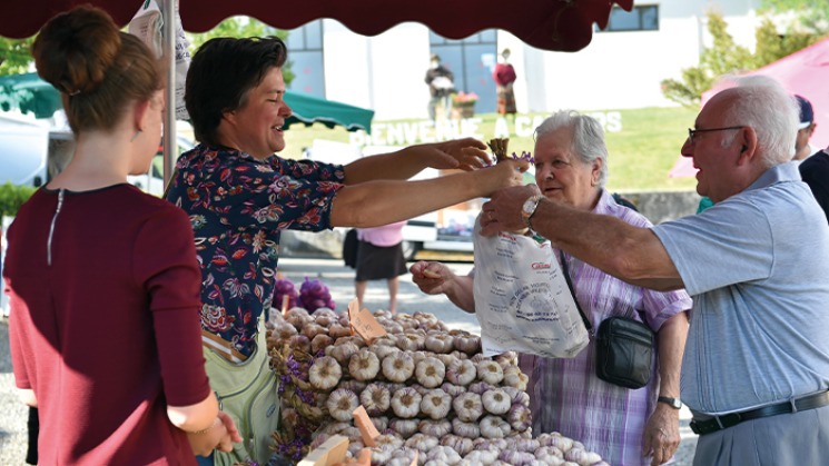 Marché ail violet de Cadours